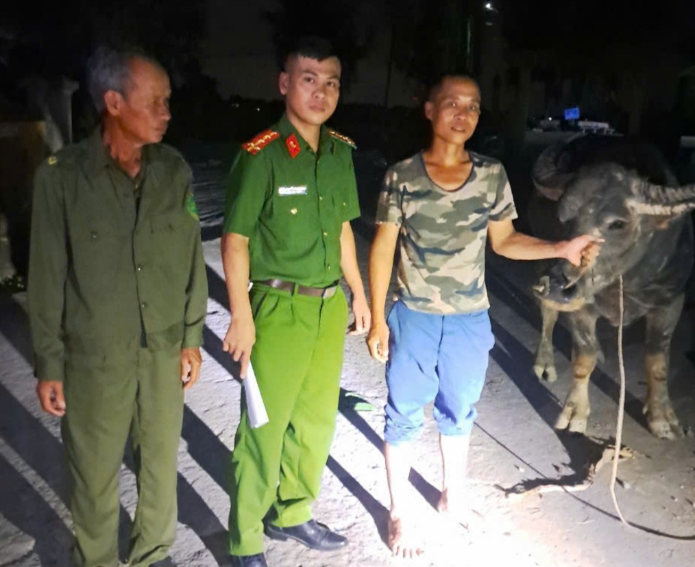 Công an xã Trần Phú, thành phố Hải Phòng: Giúp người dân tìm con trâu đi lạc chỉ sau 3 giờ đồng hồ